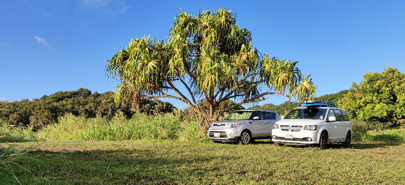 two rental cars parked in a lush green Kipahulu Campground at Haleakala National Park
