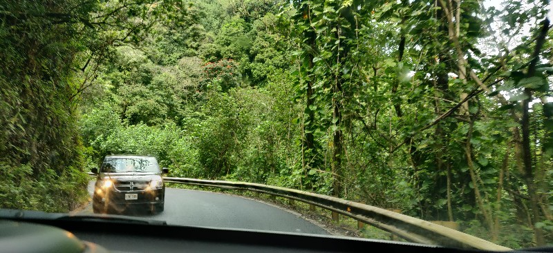 Oncoming traffic on the Road To Hana