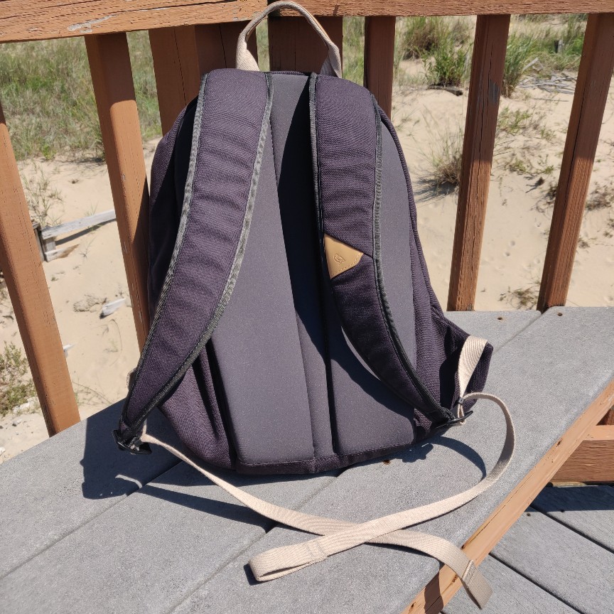 Bellroy Classic Backpack back straps & padded hardness