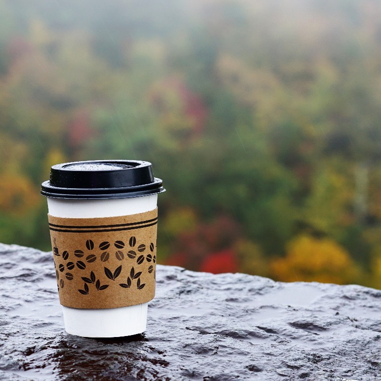 Coffee cup sitting on a wet, rocky ledge. Background: foggy valley of green, yellow, and red treees