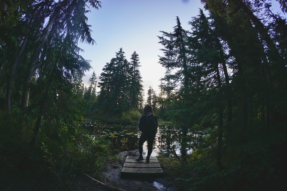 Faded picture of a lady hiker standing in front of a lake surrounded by coniferous trees