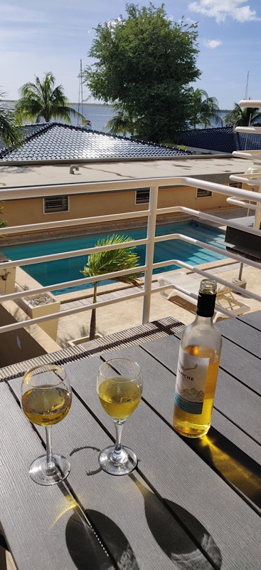 Two glasses of straw-colored wine on a patio overlooking a pool. 